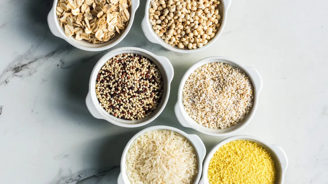 Grain-Free Dog Food: A Smart Choice for Overweight Dogs?