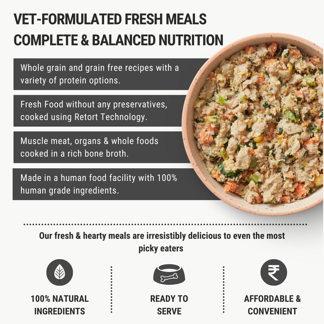Chicken, Eggs, & Vegetables (Grain-Free)