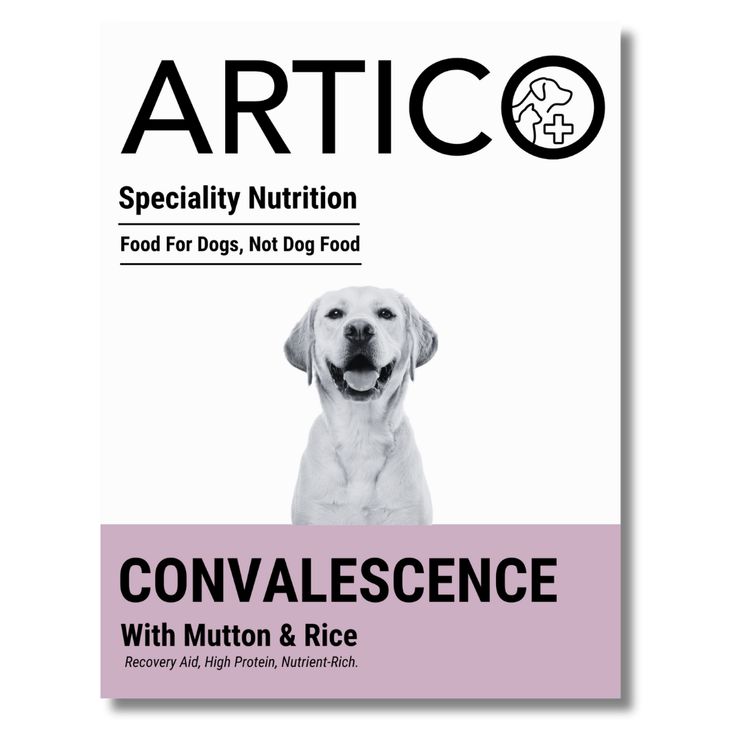 Convalescence Support