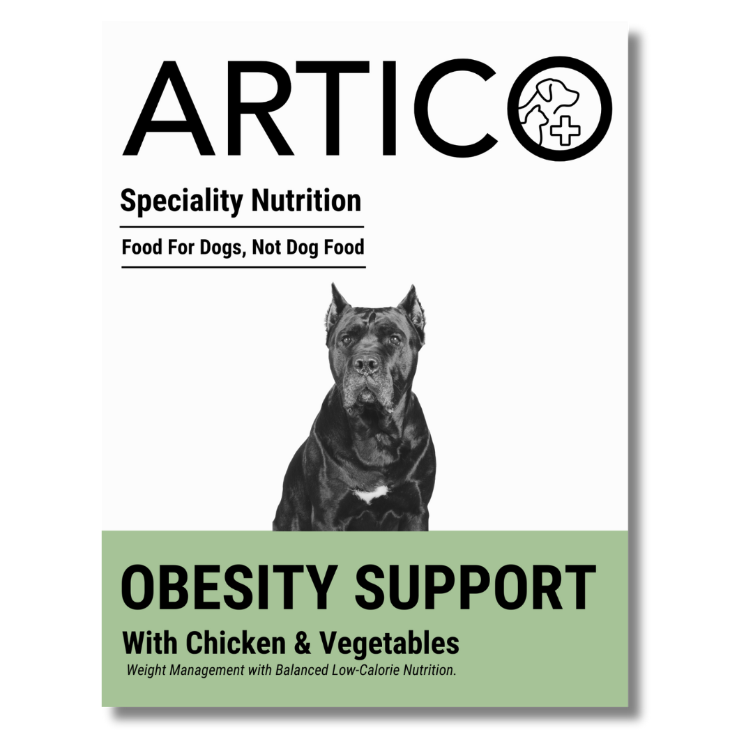 Obesity Support