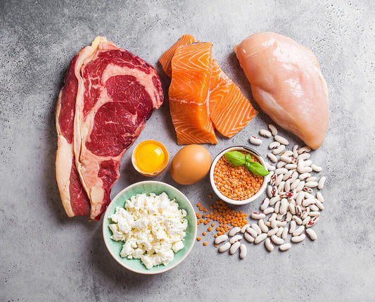 The Role of Protein in Dog Diets: Sources, Quality, and Requirements