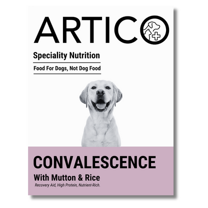 Convalescence Support